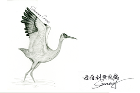 992_0_20170604 siberian crane.png