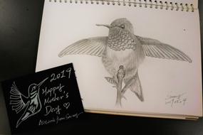 981_20190509 rufous-hummingbird.jpg