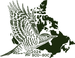 984_logo_v3.png