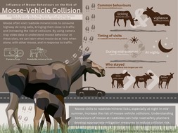 987_infographic_Moose-Vehicle Collision Risk_v3.jpg