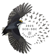 988_20241104_SCO_SOC_logo_v2.png