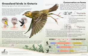 992_20240423_Grassland_Bird_In_Ontario_v7.png