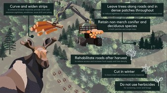 993_20240415_moose_harvest_infographic_v4.jpg