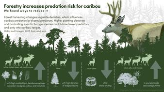 997_20230711_infographic_ungulates_harvest_Tracy_v3.jpg