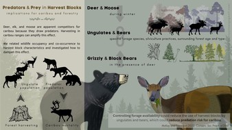 998_20230512_infographic_predator_prey_Tracy_v2.jpg