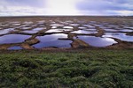 Acoustic Monitoring in Siberian Arctic Tundra